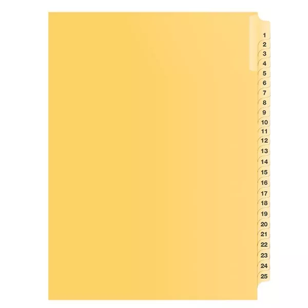 1-25 BUFF 11" LITIG.DIVID (DAVB12000)