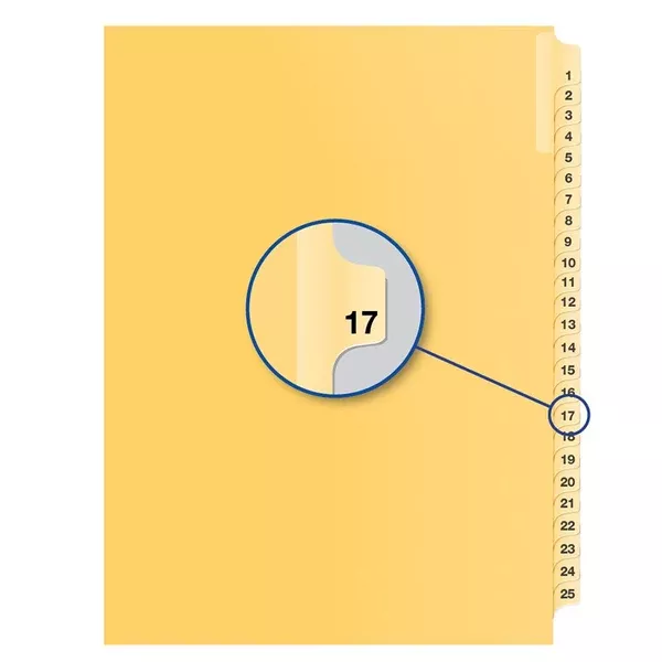 #17 BUFF 11" LITIG.DIVID (DAVB14017)