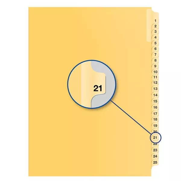 #21 BUFF 11" LITIG.DIVID (DAVB14021)