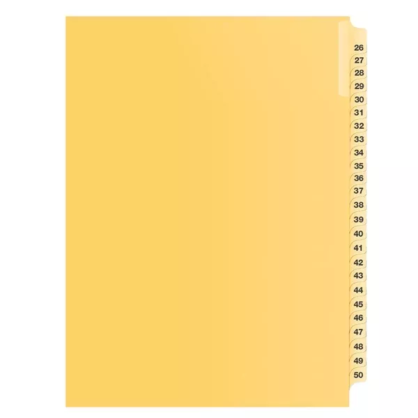 26-50 BUFF 11" LITIG.DIVID (DAVB12001)