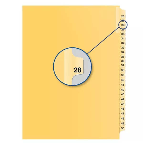 #28 BUFF 11" LITIG.DIVID (DAVB14028)