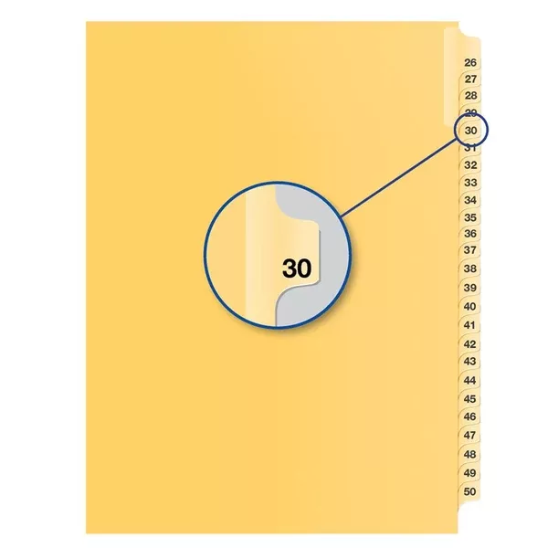 #30 BUFF 11" LITIG.DIVID (DAVB14030)