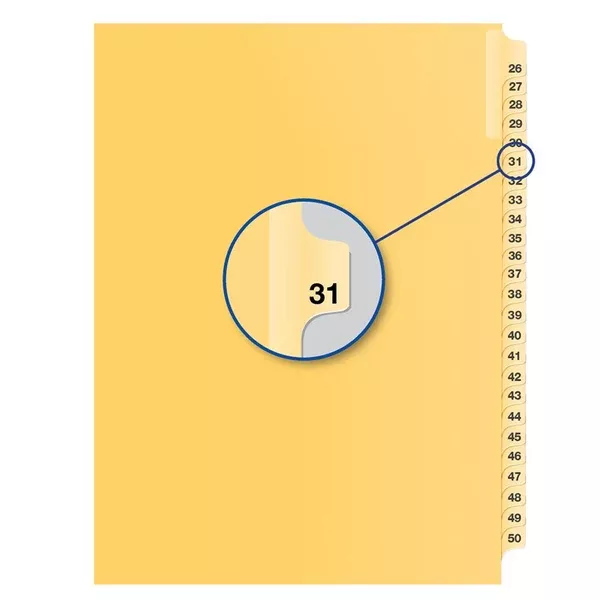 #31 BUFF 11" LITIG.DIVID (DAVB14031)