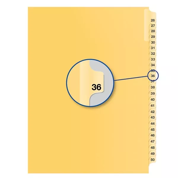 #36 BUFF 11" LITIG.DIVID (DAVB14036)