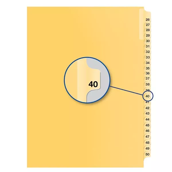 #40 BUFF 11" LITIG.DIVID (DAVB14040)