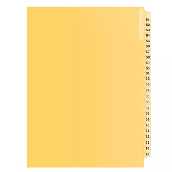 51-75 BUFF 11" LITIG.DIVID (DAVB12002)