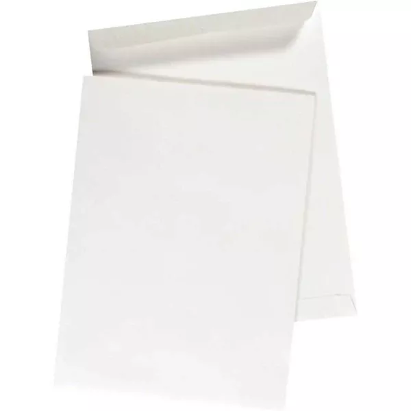 #7 ENV.9X12" OE WHITE (SPX0018296)