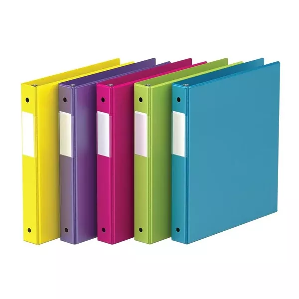 D-RING BINDER 2" NEON ASS. (RGO23064-6)