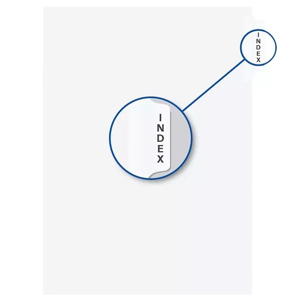 ''INDEX'' WHITE 11''LITIG.DIV. (DAVW07402)