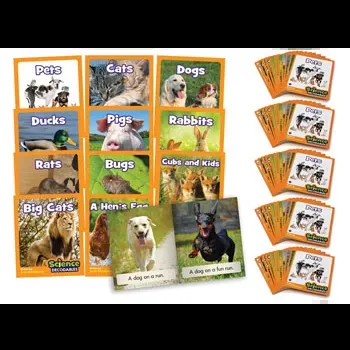 Science Decodables - Phase 2 Letter Sounds Kit